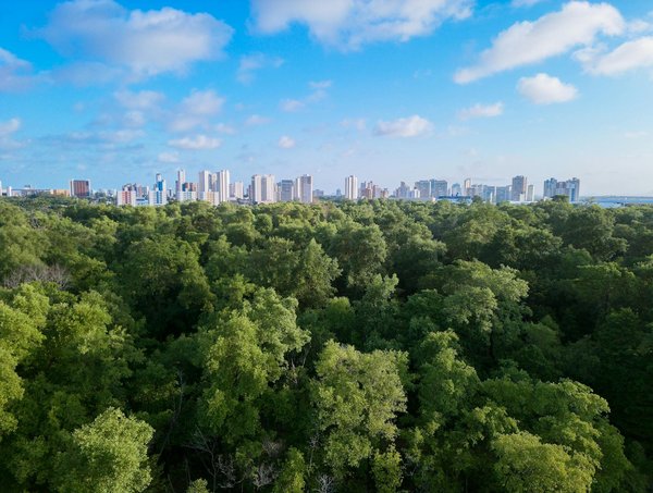 Culture et Résilience : Enjeux et Perspectives pour Renforcer la Cohésion Sociale